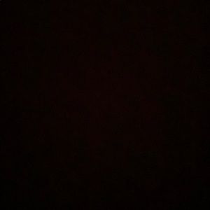 Meet your Posher, Haliegh